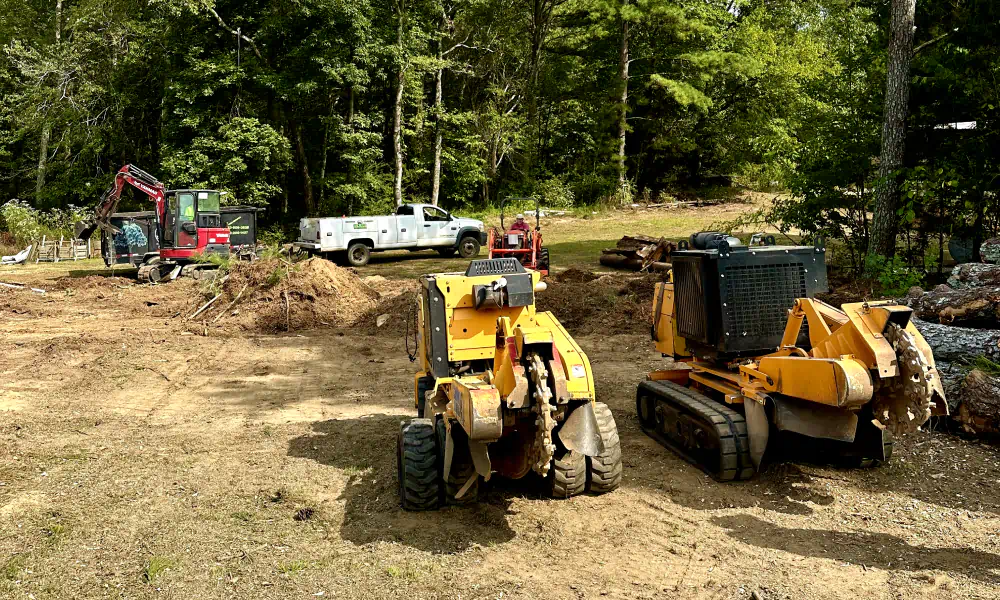 service large scale tree stump removal work