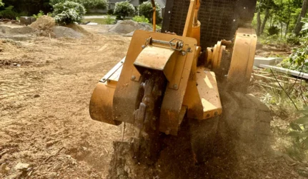 service tab stump grinding